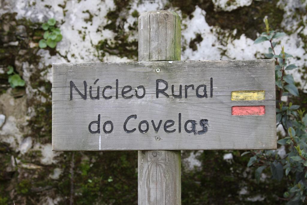 Alojamento Rural De Covelas Covelas  Bagian luar foto